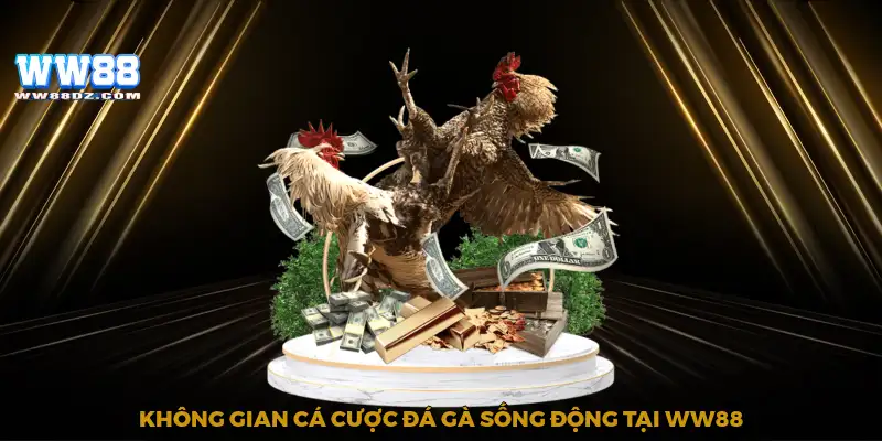 Không gian cá cược đá gà sống động tại WW88