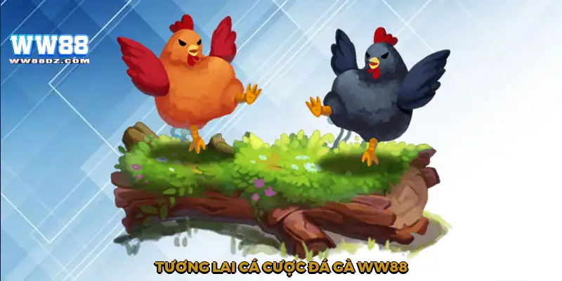 Tương lai cá cược đá gà WW88